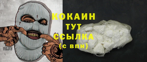 PSILOCYBIN Балабаново