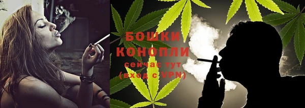 PSILOCYBIN Балабаново