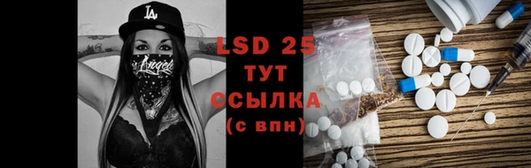 PSILOCYBIN Балабаново