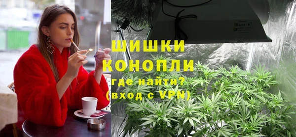 PSILOCYBIN Балабаново