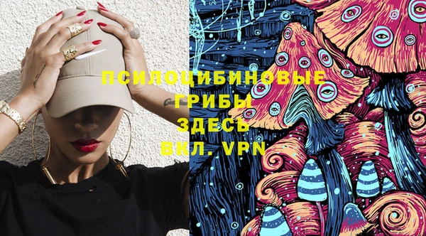 PSILOCYBIN Балабаново
