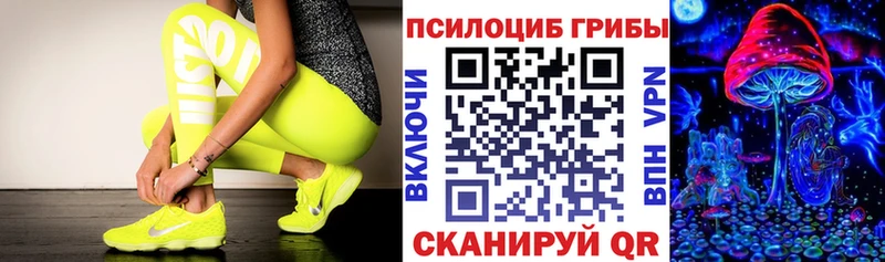 darknet формула  Нариманов  Псилоцибиновые грибы Psilocybine cubensis 
